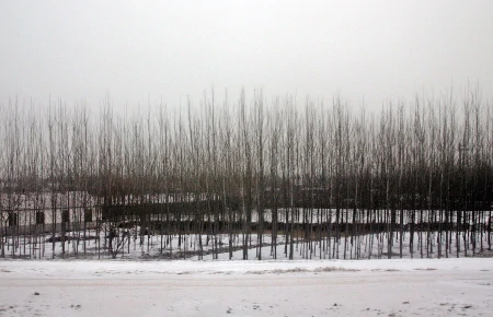 snow scene